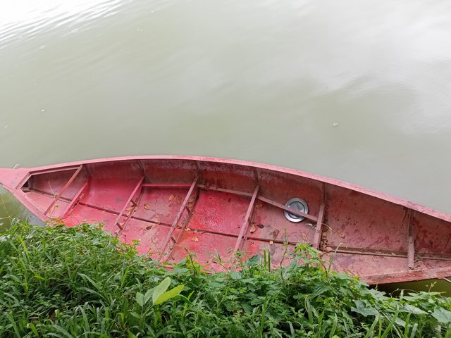 IMG20250707170220.jpg