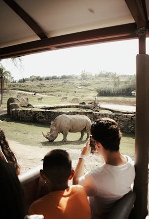 free-photo-of-a-group-of-people-are-looking-at-a-rhino-in-a-zoo.jpeg