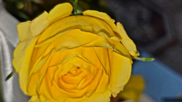 20250512_001936.jpg