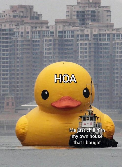 Gm-kY6LbYAAKTQL.jpg