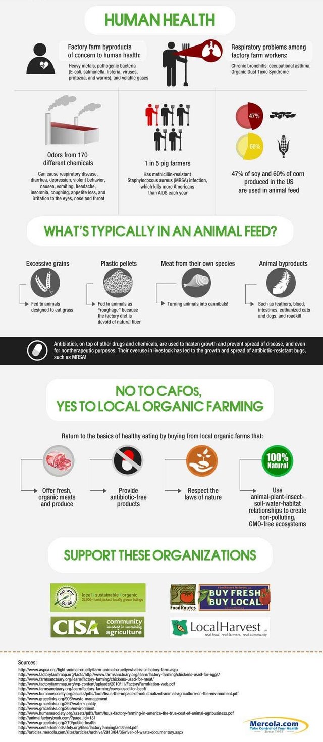 truth-about-factory-farms-infographic-part-2 (1).jpg