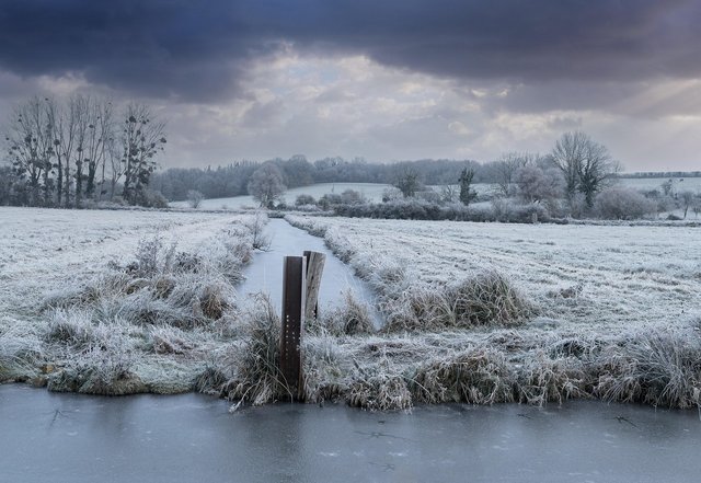 winter-7701553_1280.jpg