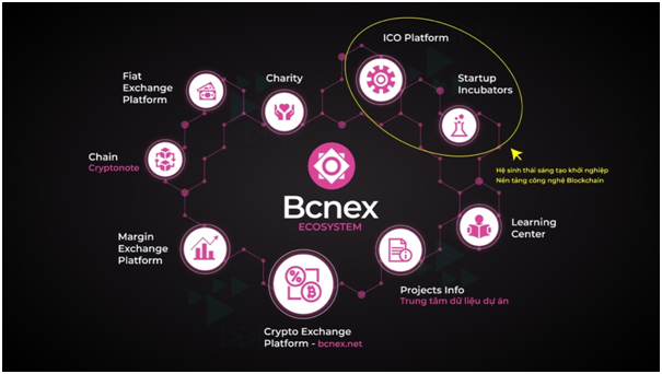 bcnex ecosystem.png