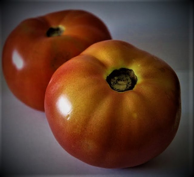 tomatoes (2).jpg