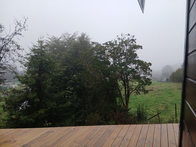 20250730_145734.jpg