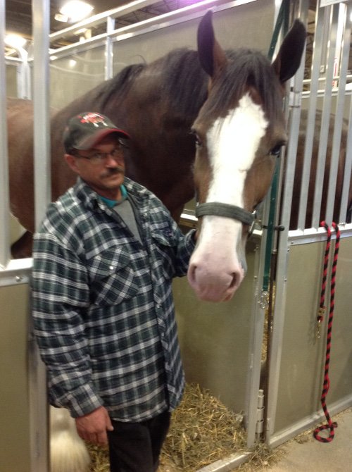 man and Clydesdale.JPG