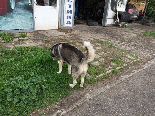 IMG3366.JPG