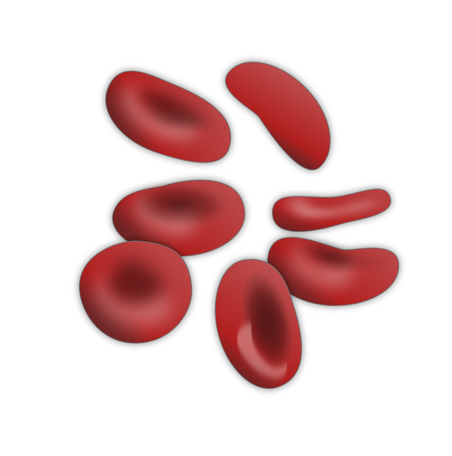 1190pxRedbloodcells.svg.png