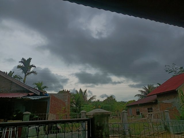 IMG20250428161552.jpg