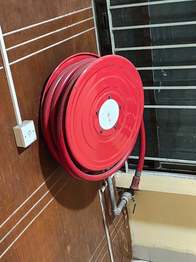 1000040657.jpg