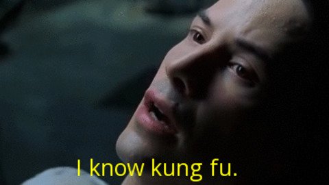 i know kung fu.jpg