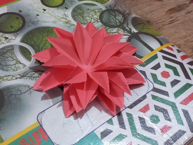 20250901_121153.jpg