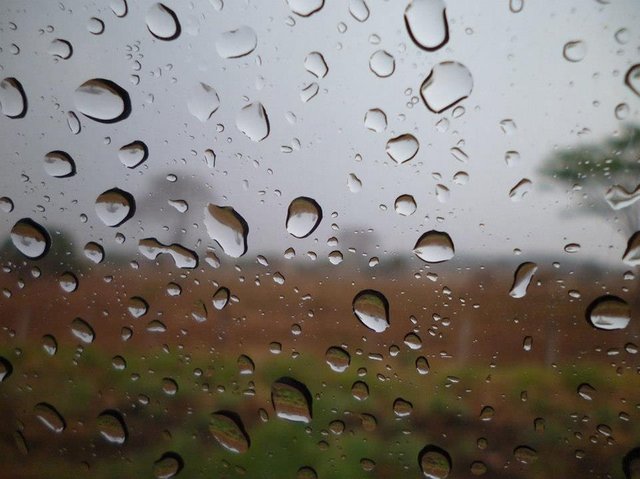 rain-2729595_960_720.jpg