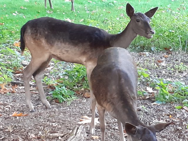 20250928_170211.jpg