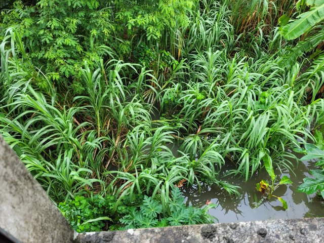 20250709_101714.jpg