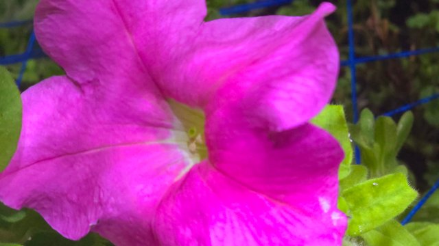 20241212_224934.jpg