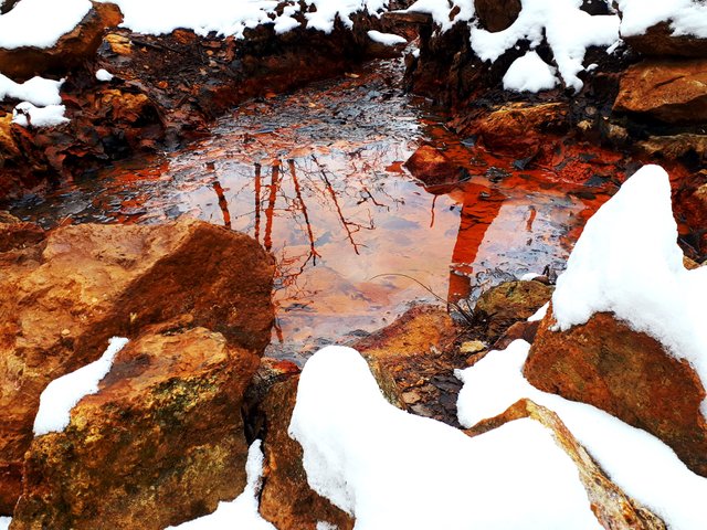 20190213_220132.jpg
