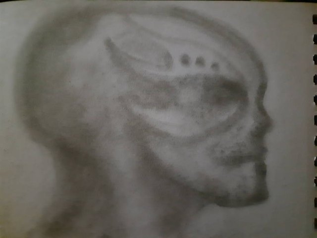 20250524_110253.jpg