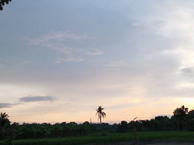 IMG_20250913_180451_399.jpg