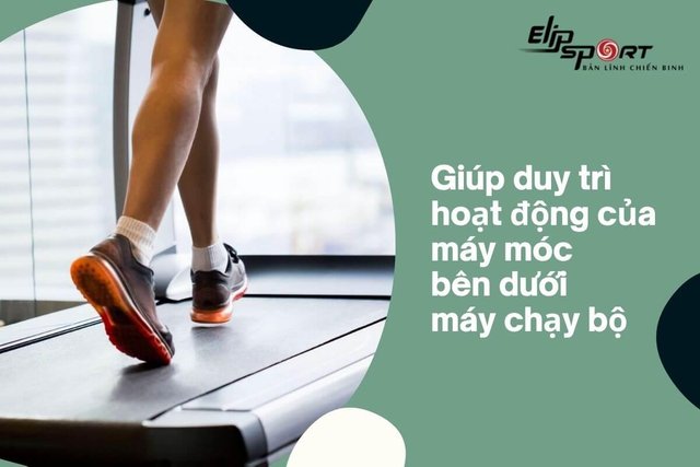 elipsport-1687612114129.jpeg