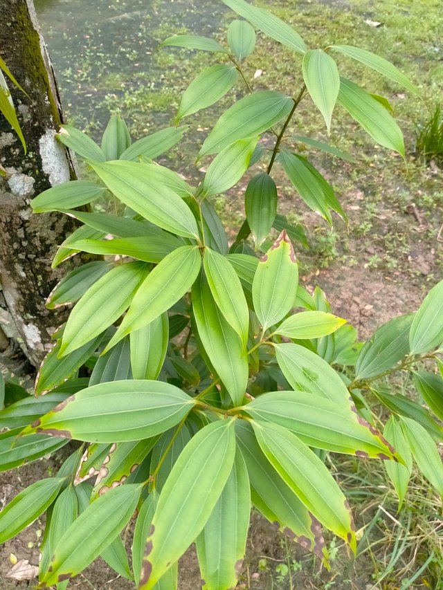 IMG20250913111856.jp