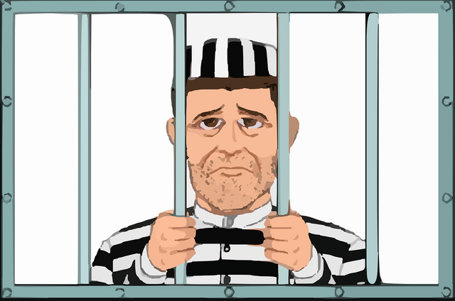 prisoner-296515_1280.png