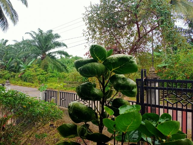 IMG20250912073350.jpg