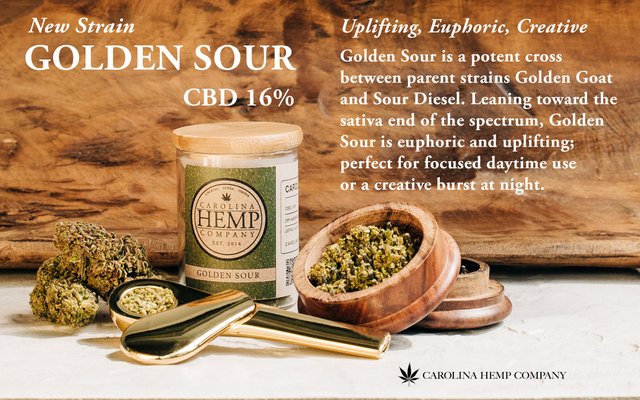 Gloden Sour Strain Banner.jpg