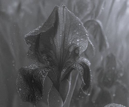 f41cb795-8b95-45d7-8694-0c3cbee8694.png