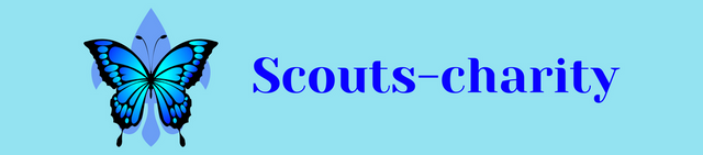 Banner Scouts-charity.png