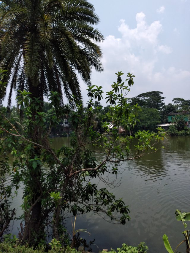 20250609_114924.jpg