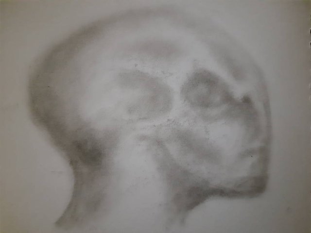 20250825_105629.jpg