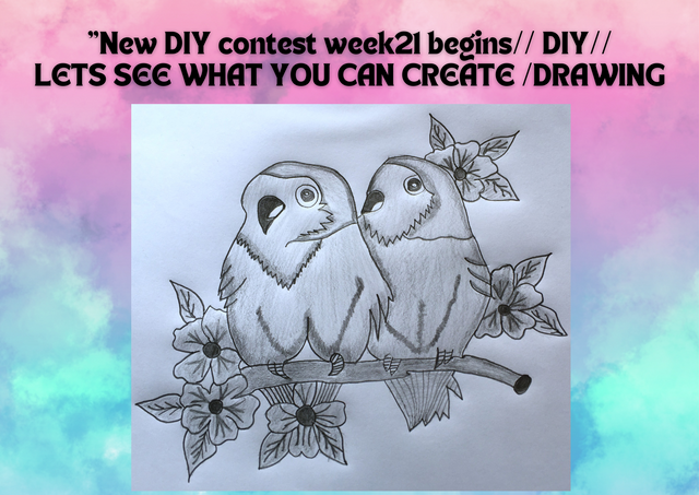New DIY contest week21 begins DIYLETS SEE WHAT YOU CAN CREATE DRAWING @zisha-hafiz.png