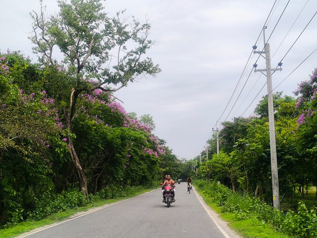 IMG_20250530_200309.jpg