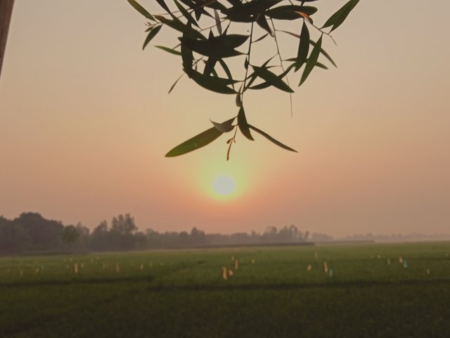 IMG20230413062118_00 (1).jpg