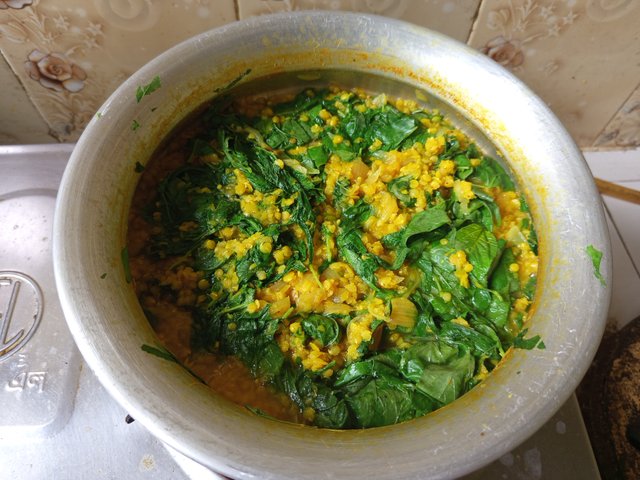 patshak (13).jpg