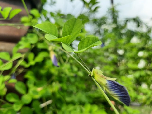 20250604_151406.jpg