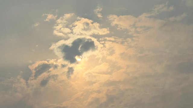 20250827_160929.jpg
