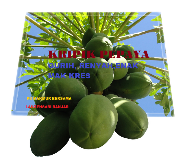 papaya-675448_960_720.png