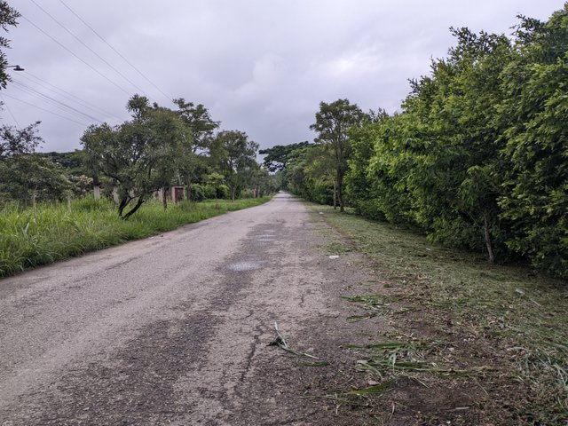 PXL_20250507_105039935.jpg