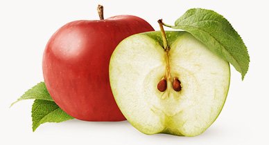 388x210_Are_Apple_Seeds_Poisonous-1.jpg