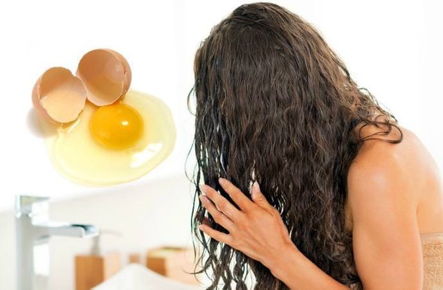 Eggs-can-help-to-Control-Hair-Fall.jpg