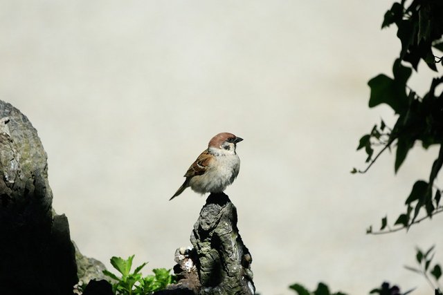 IMG_0778.jpeg