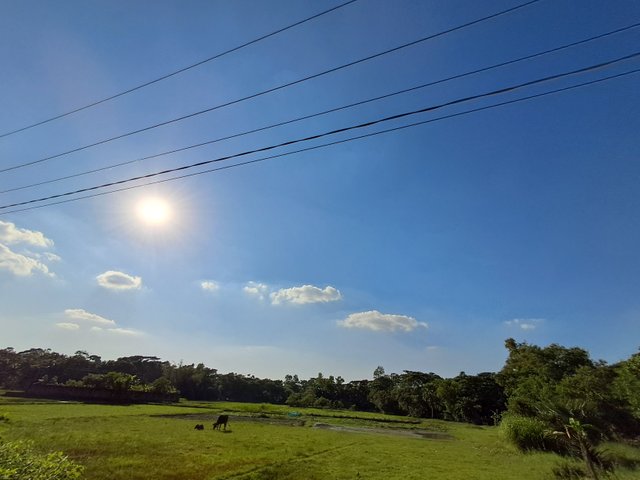 20241109_145623.jpg