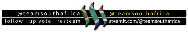 @teamsouthafrica Banner.png