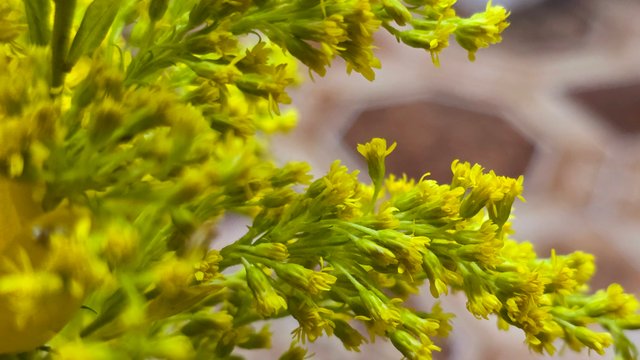 20250512_001706.jpg