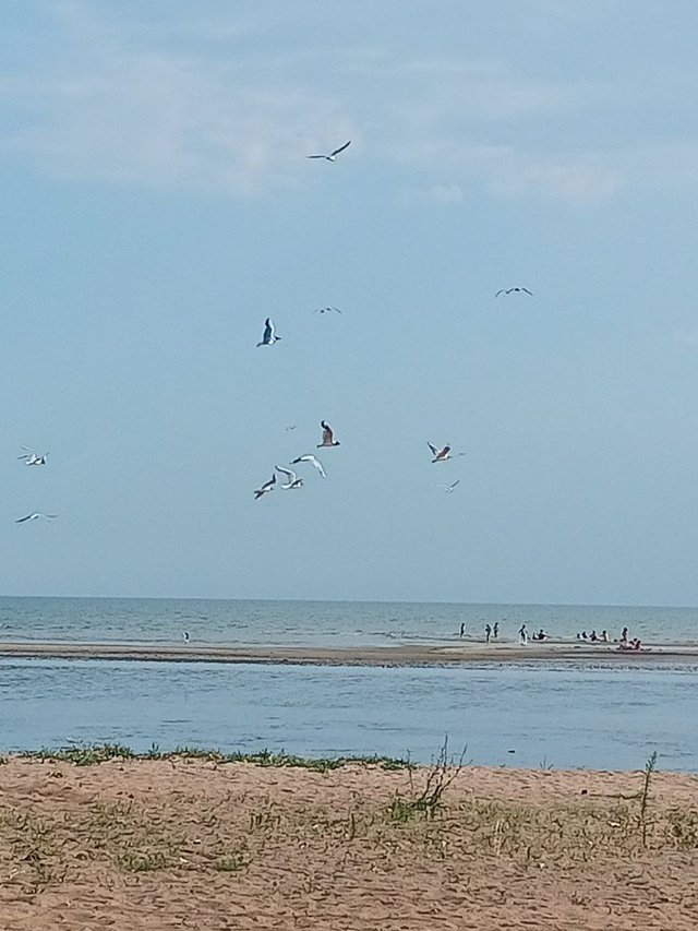 IMG_20250713_075501_766.jpg