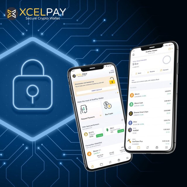 Is XcePay Wallet Secure.jpeg