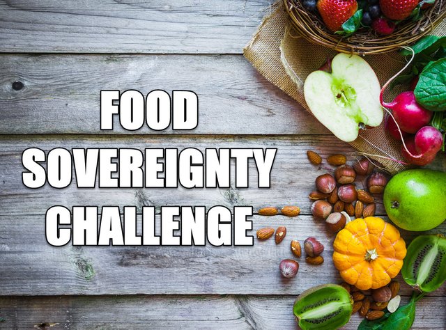 FOOD SOVEREIGNTY CHALLENGE.jpg