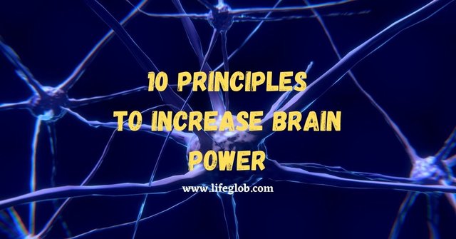 10 Principles To Increase Brain Power.jpg